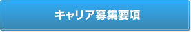 キャリア募集要項